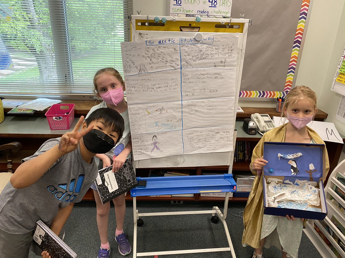 Miss Aronson's Sunflowers 💛 tweet media