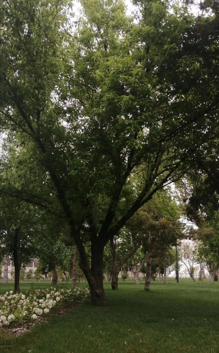 GulcinAbdioglu's tweet photo. Ankara'dan kareler.. https://t.co/Wgt0SytCmO