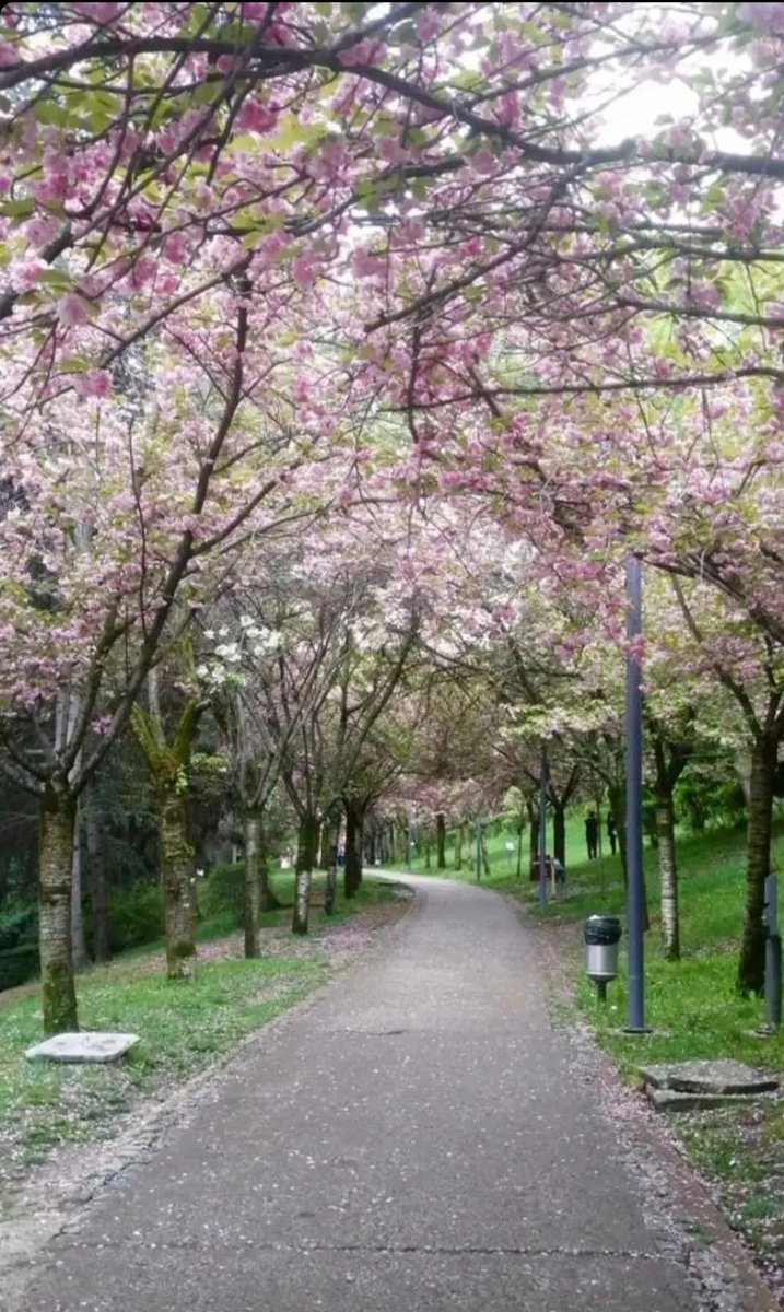 GulcinAbdioglu's tweet photo. Ankara'dan kareler.. https://t.co/Wgt0SytCmO
