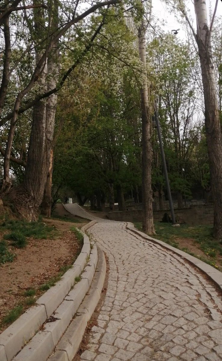 GulcinAbdioglu's tweet photo. Ankara'dan kareler.. https://t.co/Wgt0SytCmO