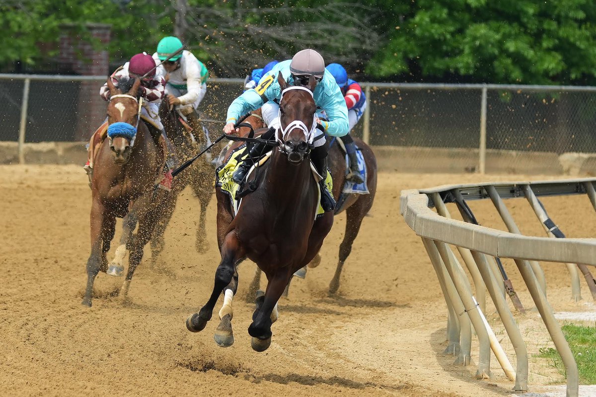 PreaknessStakes's tweet photo. #SuperQuick wins the Allaire Dupont Distaff Stakes presented by Monogram Luxury Appliances and Bray & Scarff. #BESD https://t.co/ctrvjWjhCN