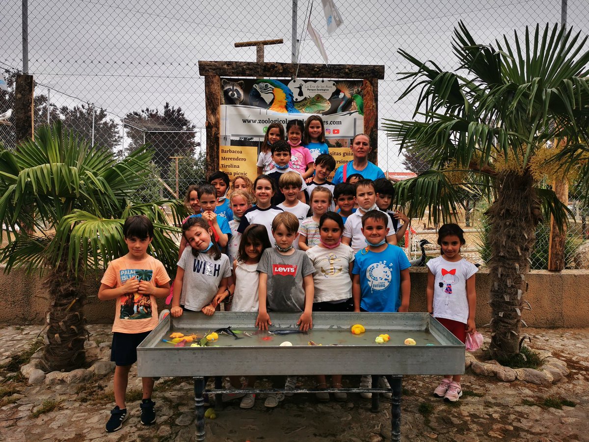MSalCha's tweet photo. 👣 ¡Volvemos a retomar nuestras salidas culturales de final de curso!
Los mayores de infantil han visitado 'La Era de las Aves'. Un pequeño #parquezoológico de animales que han sido abandonados o recogidos tras un accidente en su medio natural. Sin duda... ¡Una gran experiencia! https://t.co/quqtEGFh64