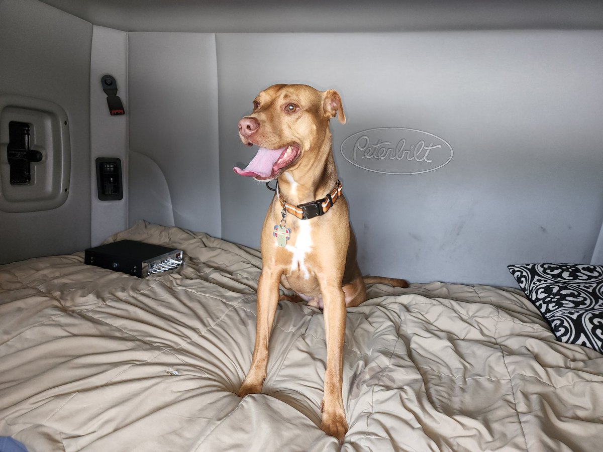 Im_a_Trucker's tweet photo. Me and my #bestfriend Kokomo out #trucking today. https://t.co/S5WRXhQJ0o