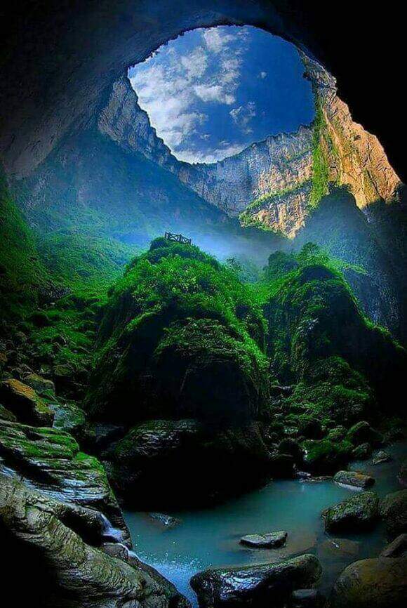 maneltorresestr's tweet photo. Científicos en China han descubierto un enorme bosque a 192 metros de profundidad en el fondo de un sumidero.
Se espera encontrar especies de plantas y animales que sean totalmente nuevas. https://t.co/mKyJTJXoBS