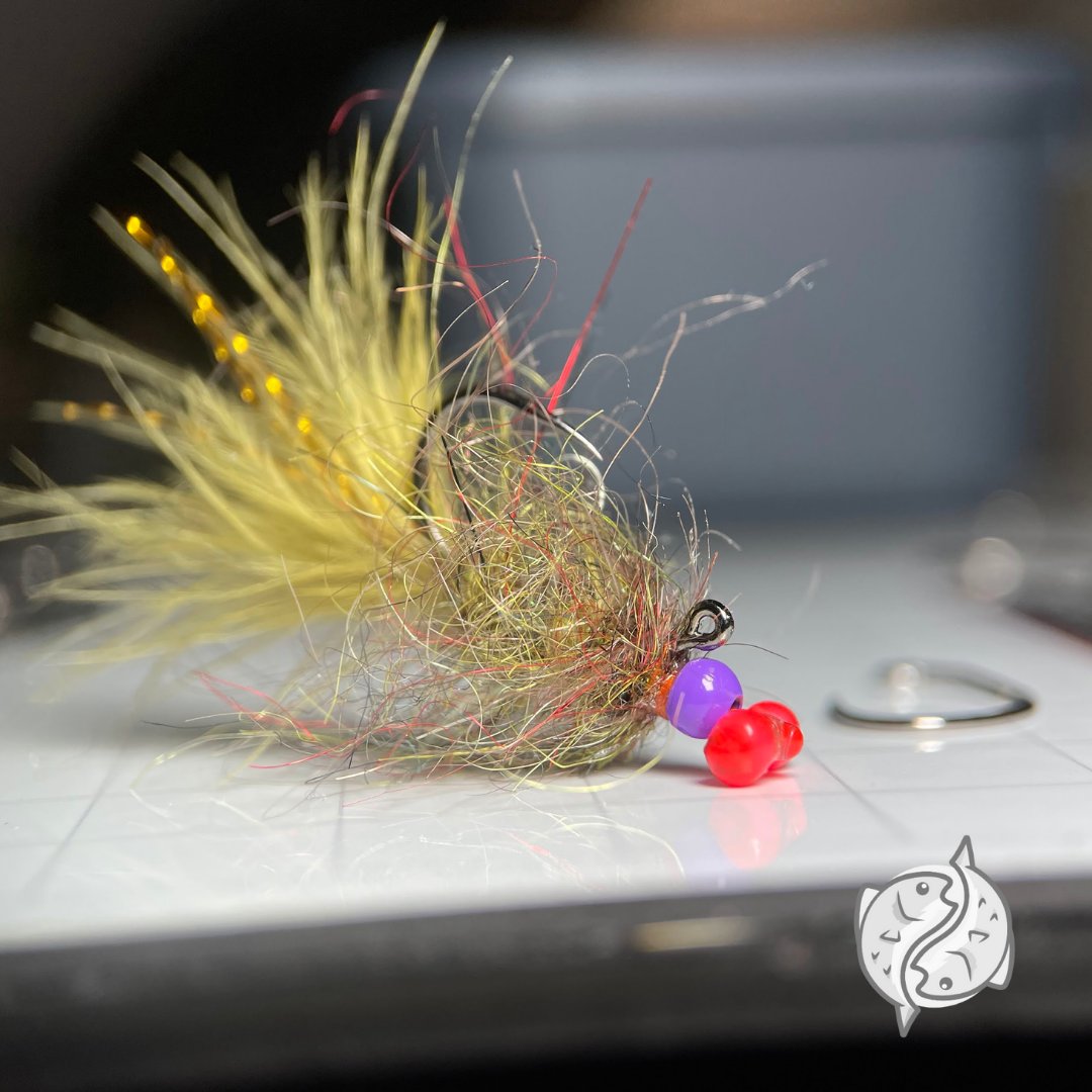 klinkndink's tweet photo. Damsel 2.0 #fireholesticks 551 size 12, tying pin, Mono eyes, #gulffflyfishing Fl. Red resin, 3.5mm #hareline Fl Purple bead, #semperfli Rust thread 12/0, #harelinedubbin Strung Marabou damsel olive, #arizonadiamonddub Simi Seal dub DW Brown https://t.co/85PqJ4Rj47