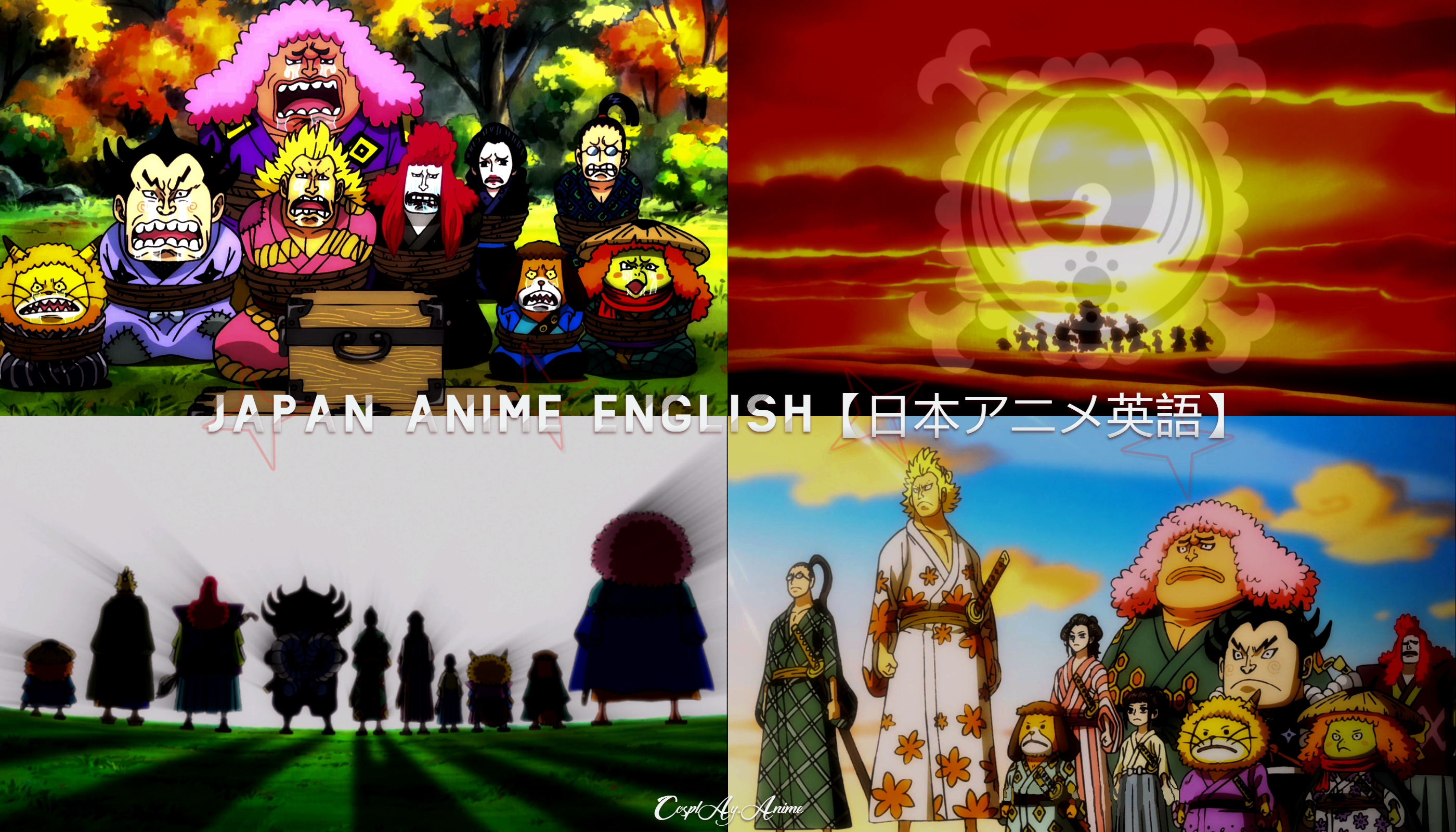 Onepiece1017 Twitter Search Twitter