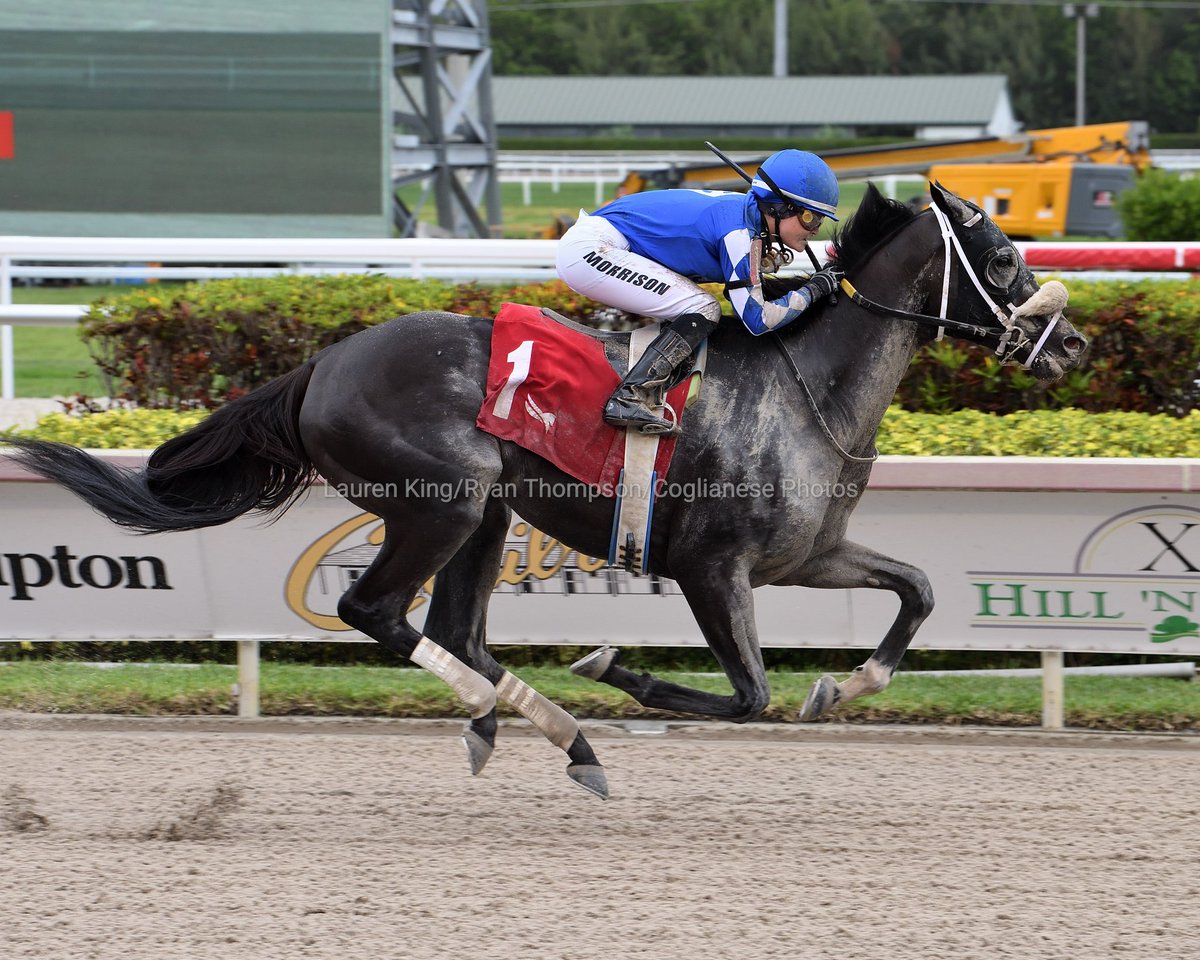 GulfstreamPark's tweet photo. Creative Cloud storms in the final furlong to score in race 5, apprentice jockey Ailsa Morrison aboard for trainer @SaffieJosephJr.  #GulfstreamPark #RoyalPalmMeet https://t.co/CoecHC0Mlq