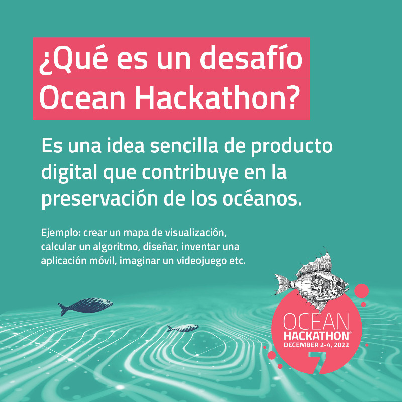 ifal_mx's tweet photo. CONVOCATORIA 🐟 - ¡Amantes del mar, el Ocean Hackathon vuelve en 2022!

Varios equipos acceden durante 48h sin interrupción a bases de datos digitales relacionadas con el mar, para resolver un reto.

¡Ya pueden proponer los retos de esta nueva edición! 
👉 https://t.co/RcbrAR1D1x https://t.co/hvfci3Yn9E