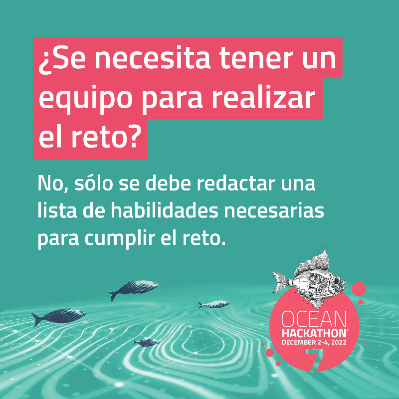 ifal_mx's tweet photo. CONVOCATORIA 🐟 - ¡Amantes del mar, el Ocean Hackathon vuelve en 2022!

Varios equipos acceden durante 48h sin interrupción a bases de datos digitales relacionadas con el mar, para resolver un reto.

¡Ya pueden proponer los retos de esta nueva edición! 
👉 https://t.co/RcbrAR1D1x https://t.co/hvfci3Yn9E