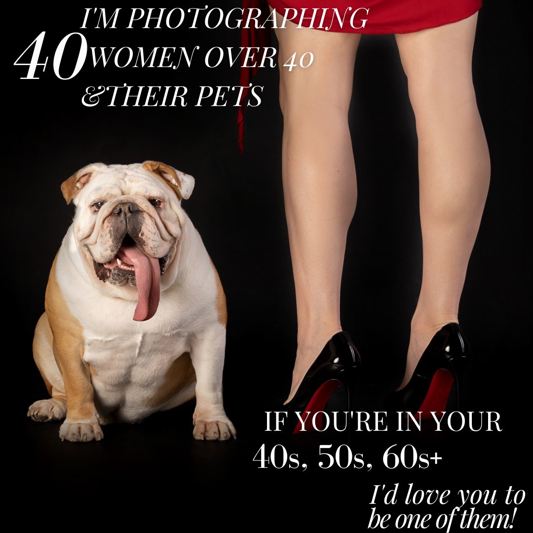 HattonPortrait's tweet image. Are YOU a Fabulous Pet Mom? Or would you like to become one? Let Hatton Pet Portrait Studio show you the way! We'd love to chat with you 😀🐶📸

fabulouspetmoms.com