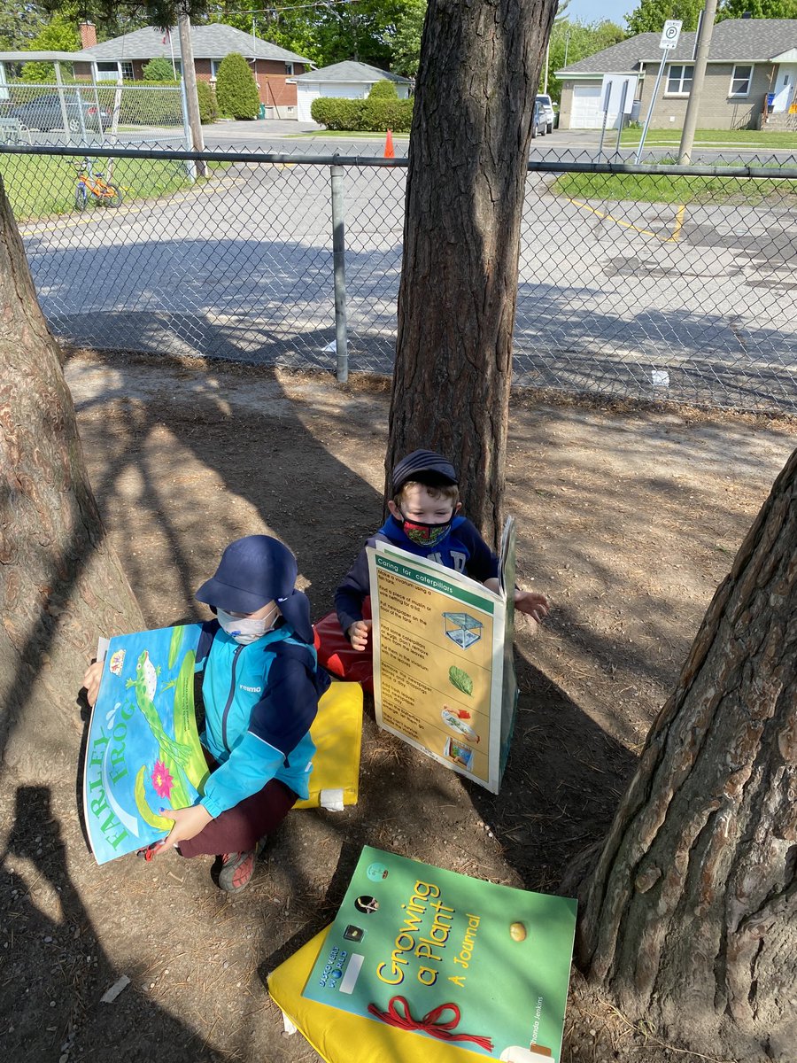Belonging, Contributing, collaborating during our outdoor learning