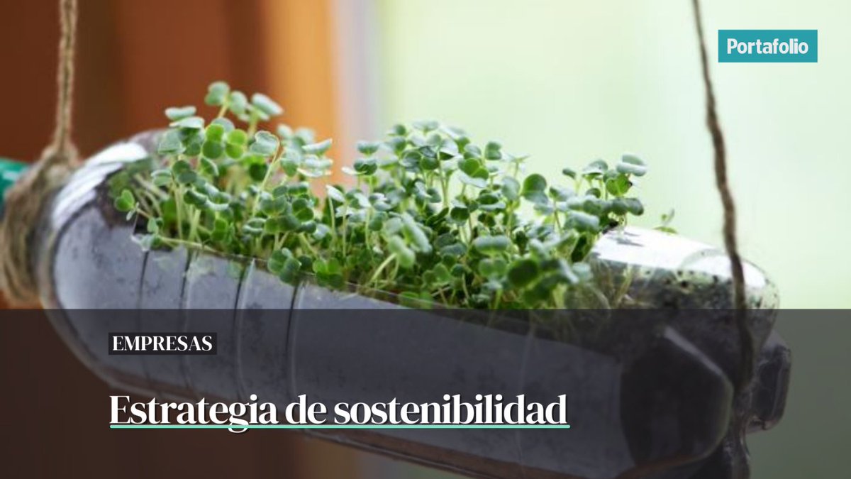 Portafolioco's tweet photo. #Empresas Colombia se ubica segundo en Latinoamérica en relación con la implementación de acciones sostenibles, detrás de Argentina (38%).

Acá le contamos más 👉 https://t.co/p83HW4fexY https://t.co/RBr3t2iQoA