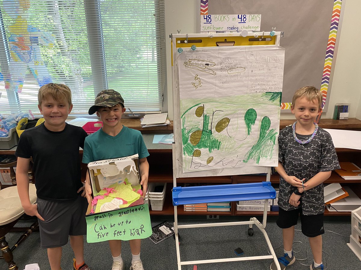 Miss Aronson's Sunflowers 💛 tweet media