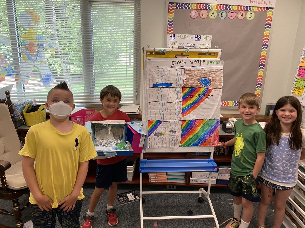 Miss Aronson's Sunflowers 💛 tweet media