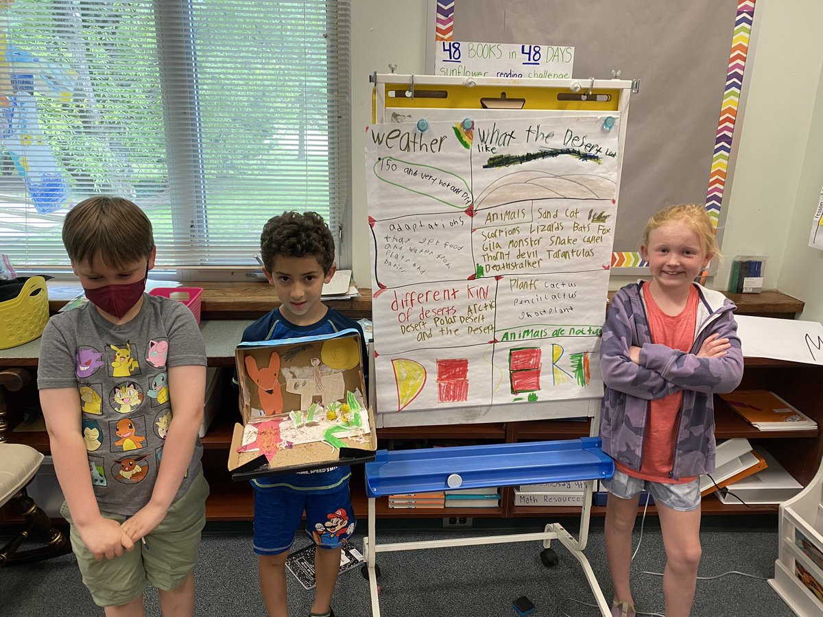 Miss Aronson's Sunflowers 💛 tweet media