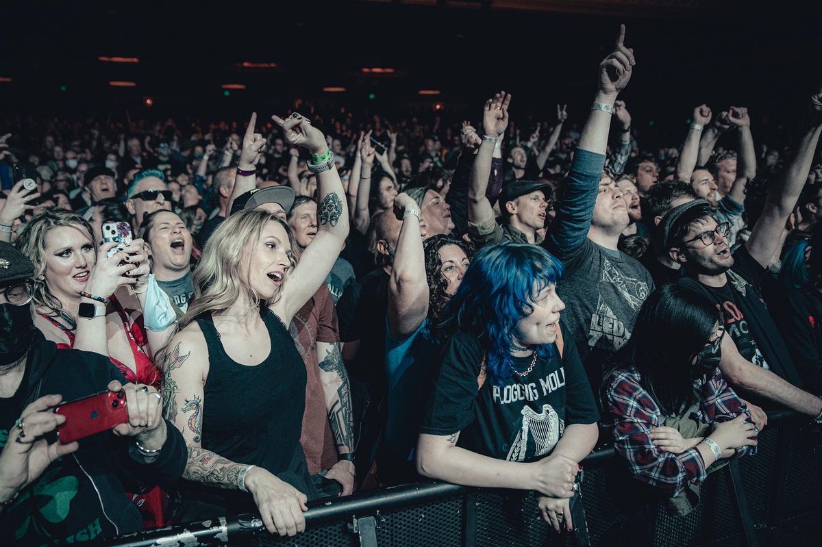 Flogging Molly tweet media