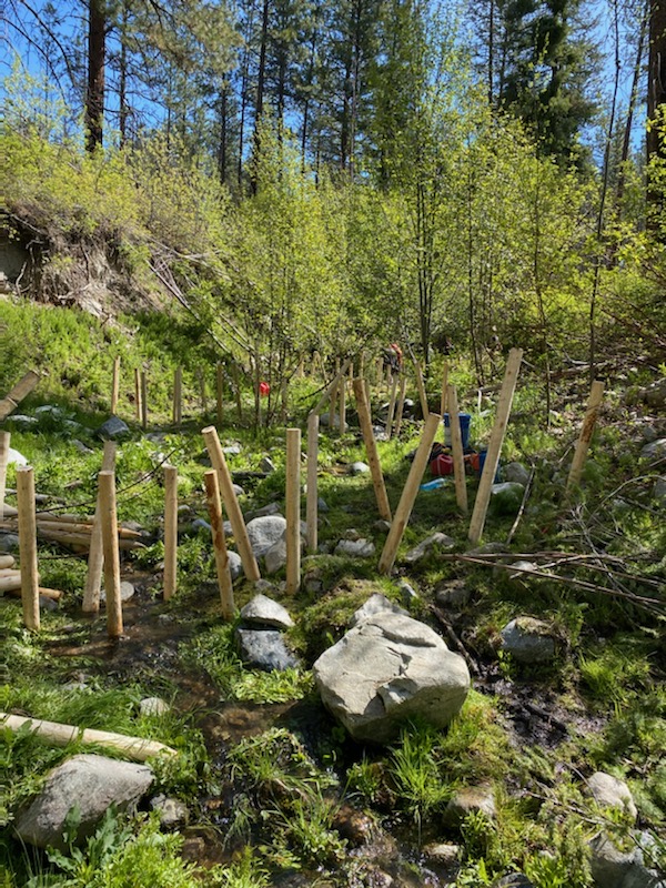 WildKingdom's tweet photo. 📍We're exploring a few areas in Washington where beavers are helping reclaim and repair the land of a former levy and irrigation site as well as an area that was destroyed by a fire in 2014. Beavers are the best engineers out there!

@MethowBeaver @WDFW https://t.co/DJiZraNKed