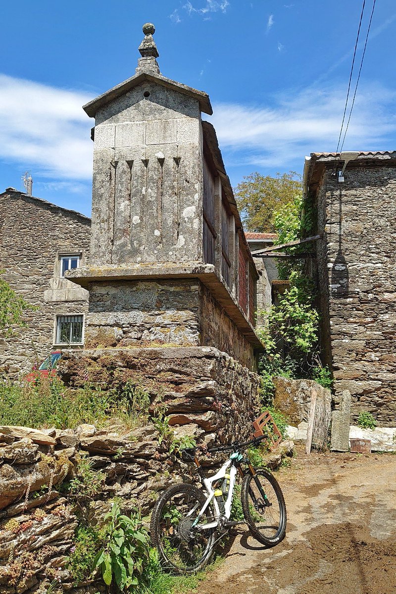 Ibon Zugasti tweet media