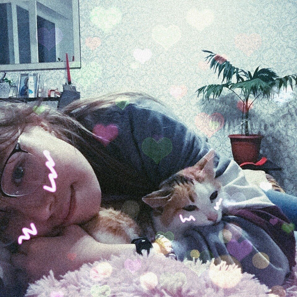 peachmoonrin's tweet photo. пусть у моей старушки всё будет хорошо https://t.co/7anwBxIEzG