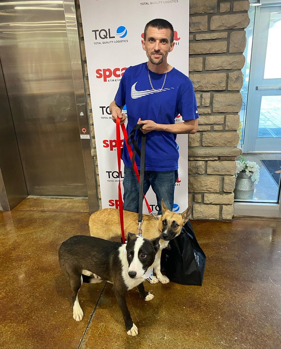 SPCACincinnati's tweet photo. 🎉Congratulations!! Best wishes to #Evandor, #Cocoa, #Copper and #Lincoln. Because of our animal-loving friends at @TQLogistics, we are able to adopt out one dog a day at no cost! ❤️. Find your next best friend at https://t.co/2W3t3sM4Ew. #LifeAtTQL #CincinnatiHumane https://t.co/6zyCnt46Oi