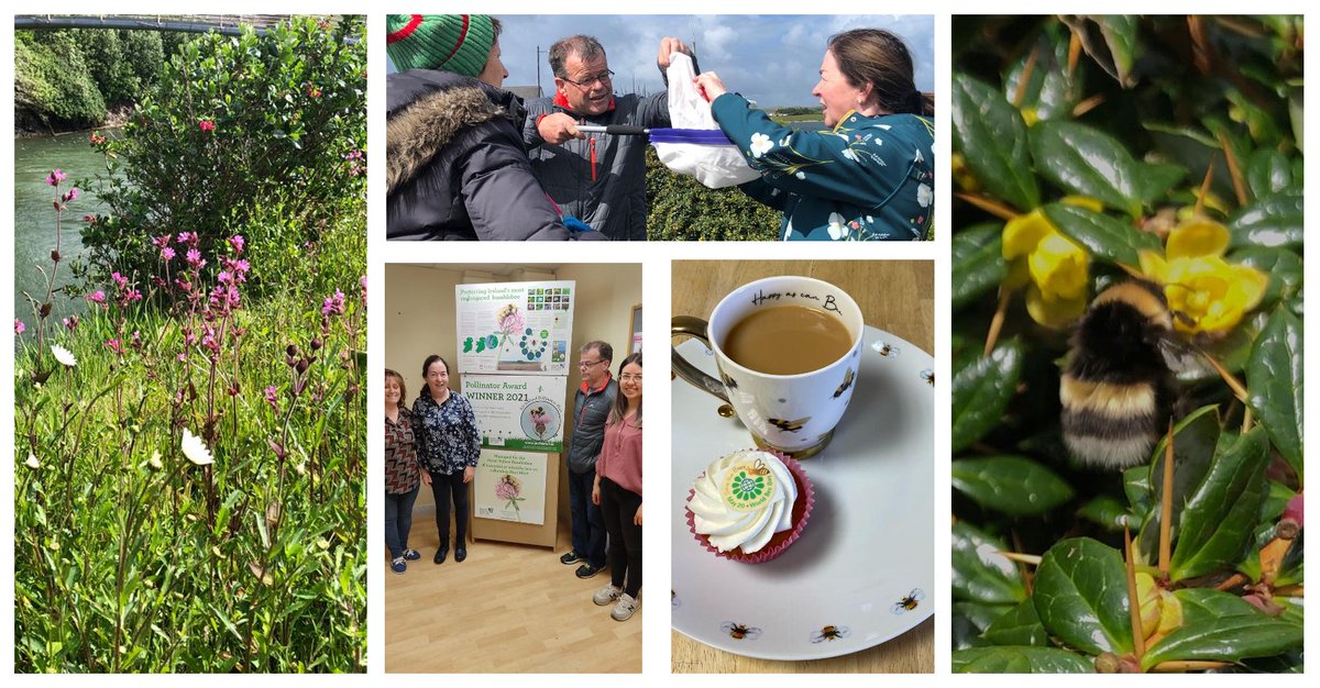 What a wonderful #WorldBeeDay event in Béal an Mhuirthead today, along the canal banks. Míle🐝to all who joined us! @GYB_Project @PollinatorPlan #biodiversity #letthembee #NationalBiodiversityWeek #worldbeeday2022 #letthembee #savethebees #nurturenature #feedthebees #pollinators