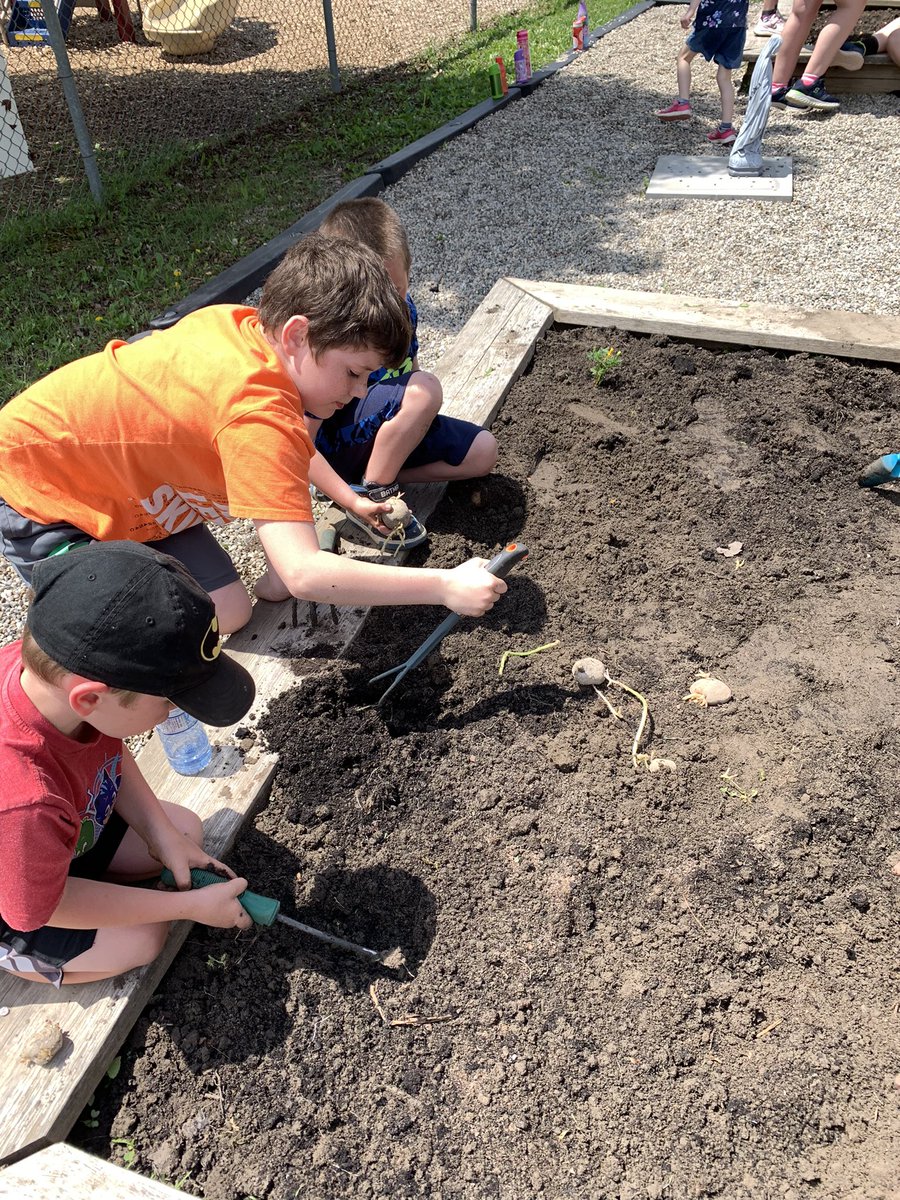 Planting our garden with flowers, vegetables and fruit. <a href="/SEWchargers/">SEWchargers</a> <a href="/MrsLalondeSTE/">Renee Lalonde</a>