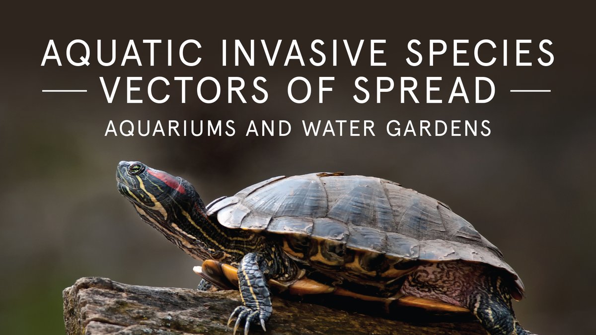 PASeaGrant tweet media