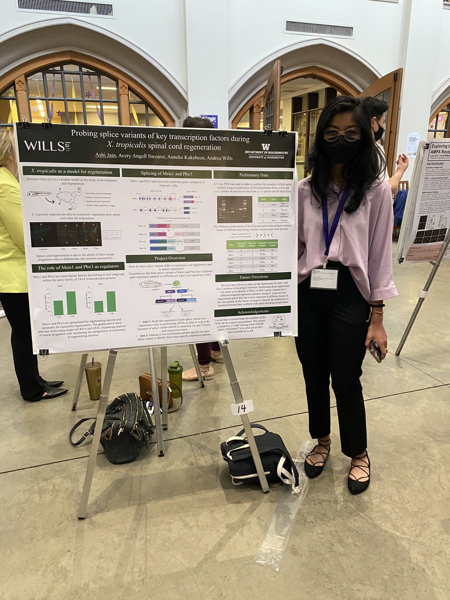 Shoutout to Kaycie Opiyo, Daniel Ong, and Ashi Jain for their amazing poster presentations at the UW Undergraduate Research Symposium!