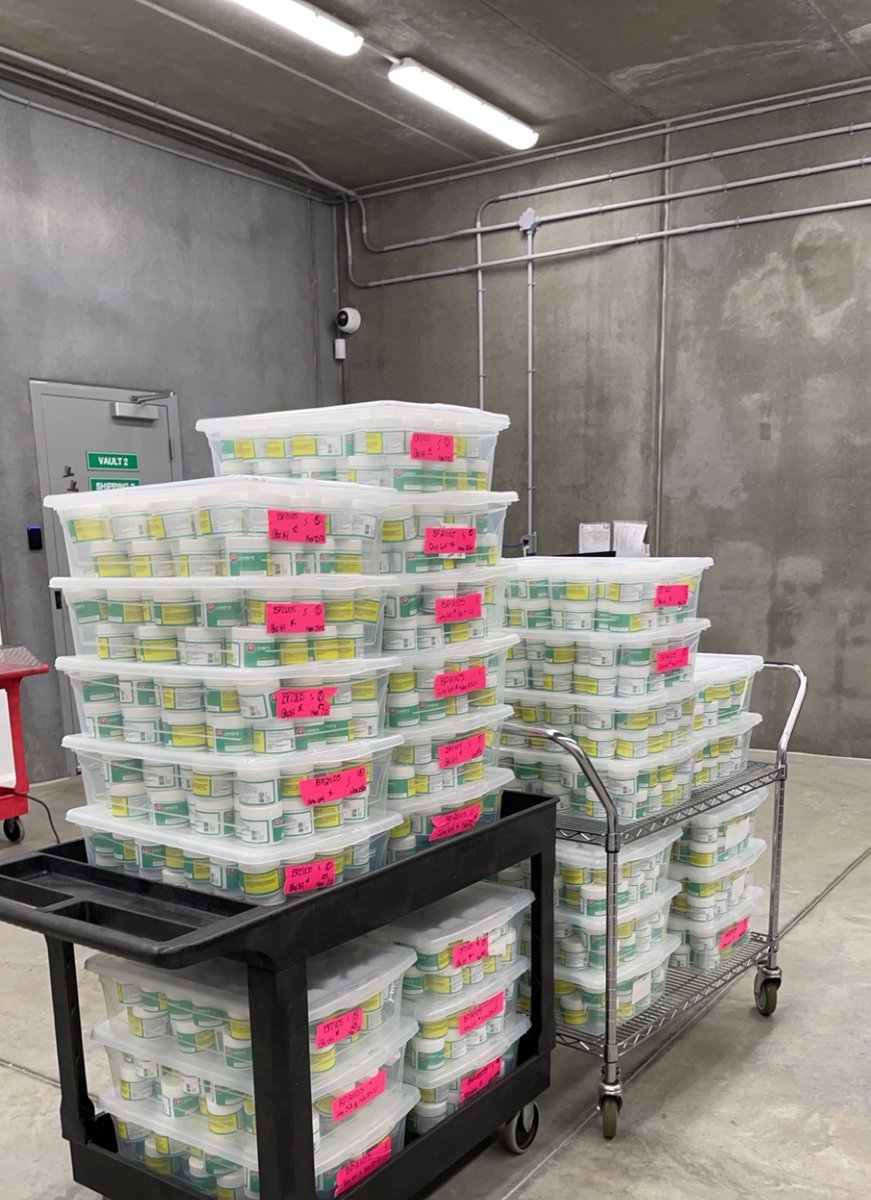 Hitting dispensary shelves near you soon 🛒

Our jars are made with eco-friendly materials to help lesson our carbon footprint and blocks detrimental sun exposure. They also feature a unique seal to ensure our product stays as fresh as the day it was packaged!