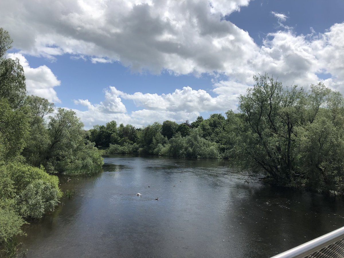 Arlene Crampsie tweet media