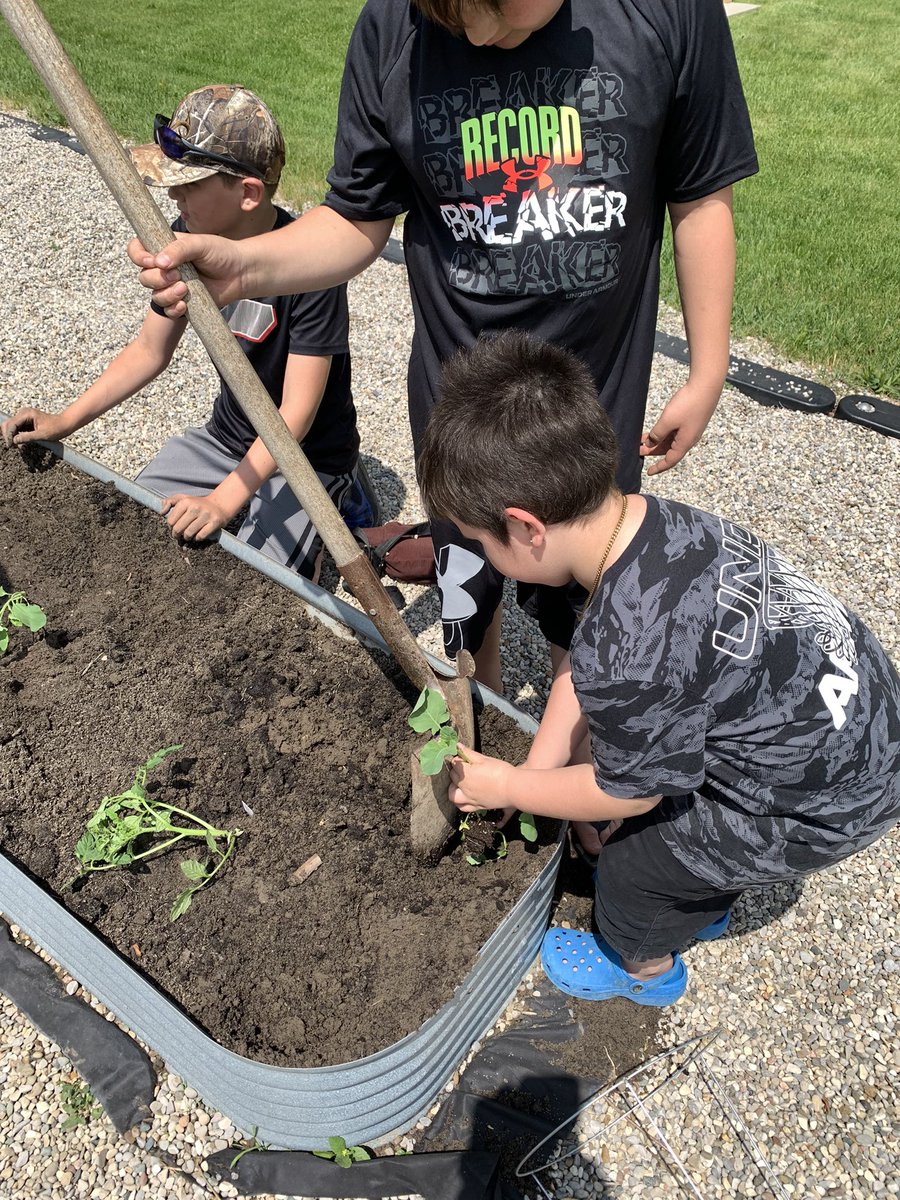 More planting pictures. <a href="/SEWchargers/">SEWchargers</a> <a href="/MrsLalondeSTE/">Renee Lalonde</a>