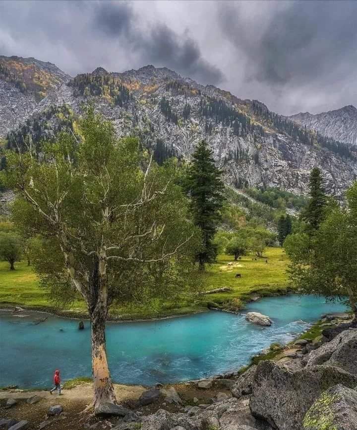 Paktourntravel's tweet photo. شاھی باغ، گبرال، وادی کالام، سوات۔۔💕
Stunning beauty of Shahi Bagh, Gabral, Kalam Valley 🌿🌲
Located amid high mountains at a distance of about 14km from #Utror and 30km from #Kalam valley, Shahi Bagh offers unique landscape to the visitors.
👉 @AqsaLeelaJamali @emnpk https://t.co/S2Tdsg2AsU