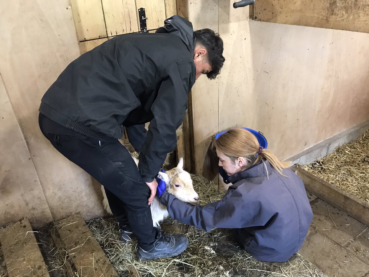 Thank you to <a href="/HeronFoods/">Heron Foods</a> in #Harehills for raising £250 for our charity so that we can purchase essential items. Our firepit has arrived and some of our young volunteers have been putting this together. Adriana from <a href="/Westpoint_Vets/">Westpoint Farm Vets</a> making a welfare visit to our #EducationalFarm.