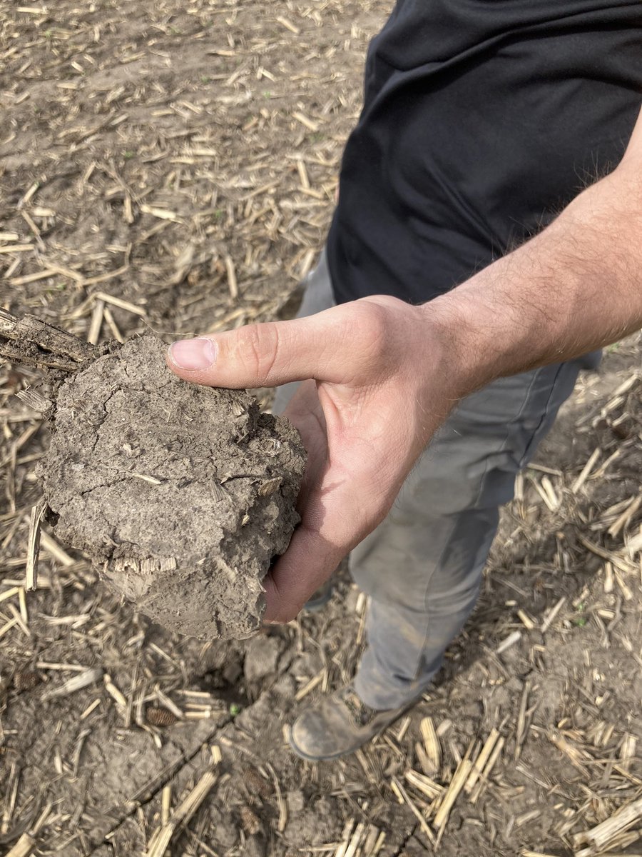 agold_steve's tweet photo. Got to see some healthy looking soil crust this week in Western IA, Amazing what a good warm, windy day in Iowa can lead to now days🤢. #Plant22 #WalkYourFields https://t.co/wDmn2xaxkZ