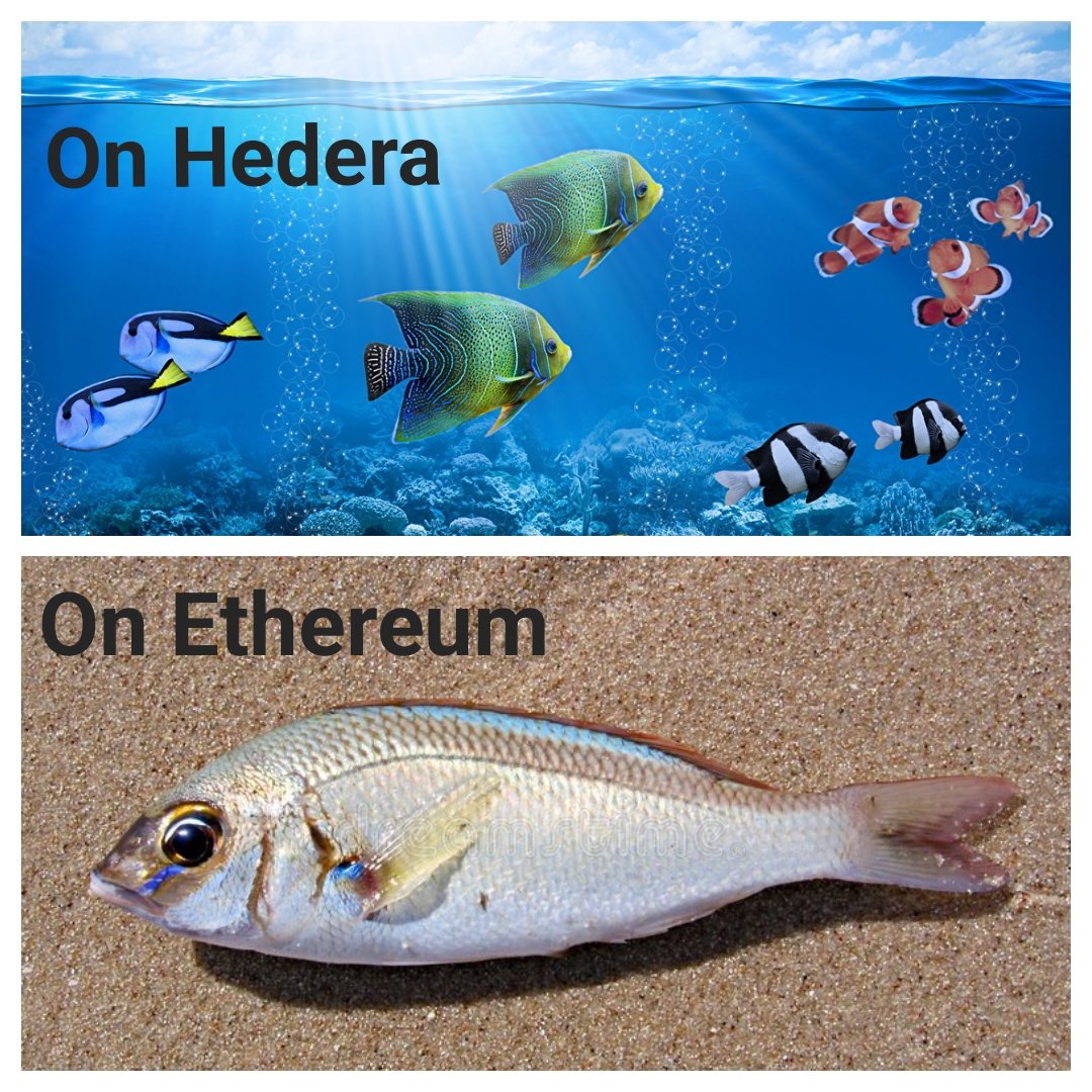 #NFTs minted on #Hedera Vs. on #Ethereum

$HBAR $ETH