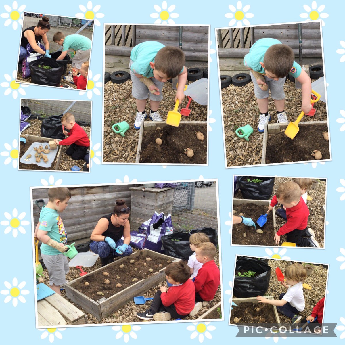 bankier_nursery's tweet photo. Many thanks to @FalkirkFroebel for our wonderful gift of potatoes, which we planted in our growing corner this afternoon .🤩🥔🪴 https://t.co/Lsh9rgleSl