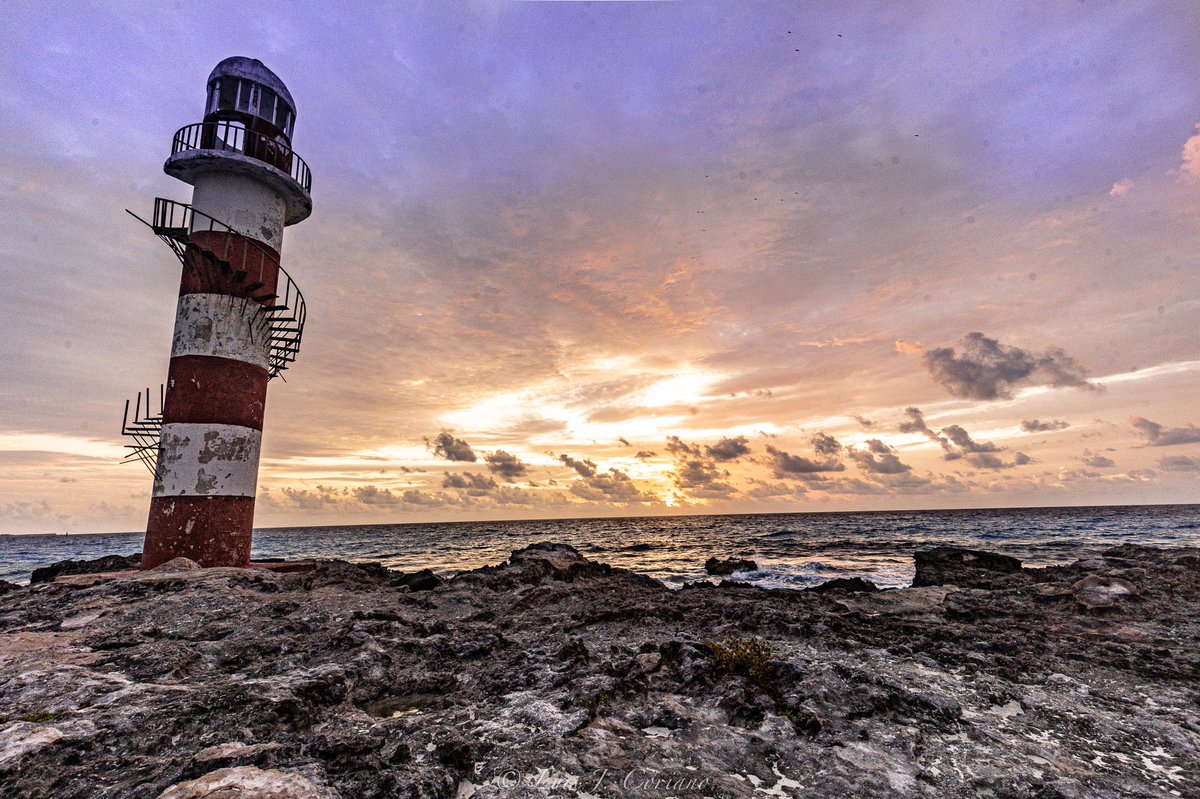 Follow the light!! @travelphotomag <a href="/NatGeoTravel/">Nat Geo Travel</a> <a href="/NatGeoPhotos/">Nat Geo Photography</a> <a href="/CanonMexicana/">Canon Mexicana</a> @travelphotomag   #travelphotography #travel #wildlifephotography #canonr6photography #canonphotography #natgeo #natgeoyourshot #instagood #instagram 
#photography #canonusa #byluisjcoriano
#nature