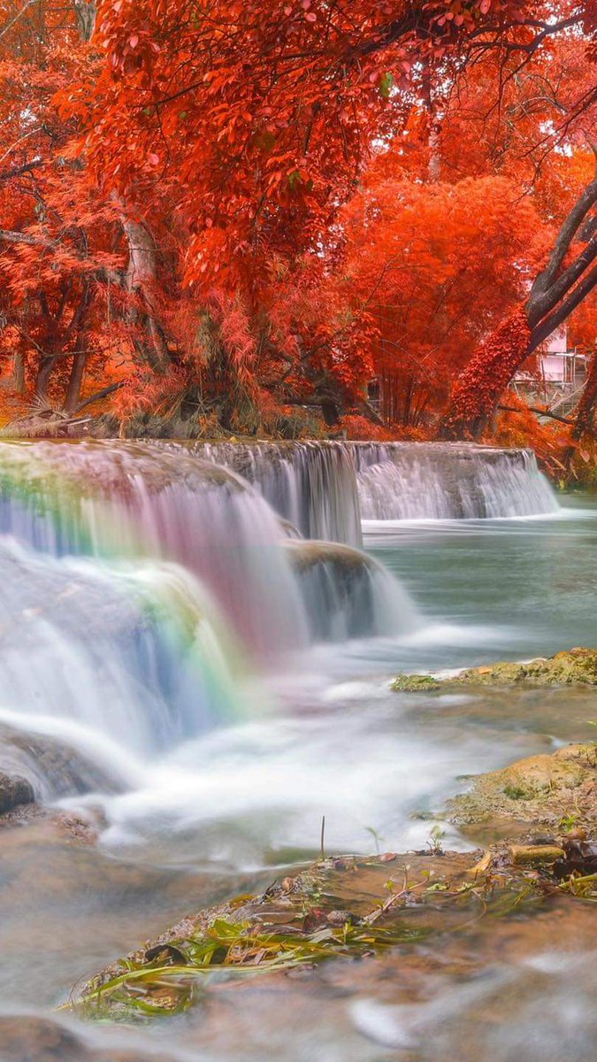 "لم أحب في إنسان صفة أكثر من اللين ، سلامٌ على كُل ابن آدم ليّن إذا صادق، هين إذا خاصم، رفيق في الشدة، رقيق في النصيحة، لا يشقى في صُحبته أحد 🥀