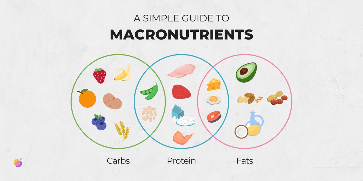 hitmeal_app's tweet photo. What are macronutrients? 🧐

Their name is derived from the term macro, which means large. These are nutrients needed by the body in large quantities, and they serve to provide the energy the body uses. There are three types of macronutrients: carbohydrates, proteins, and fats. https://t.co/u6C83yxkw6