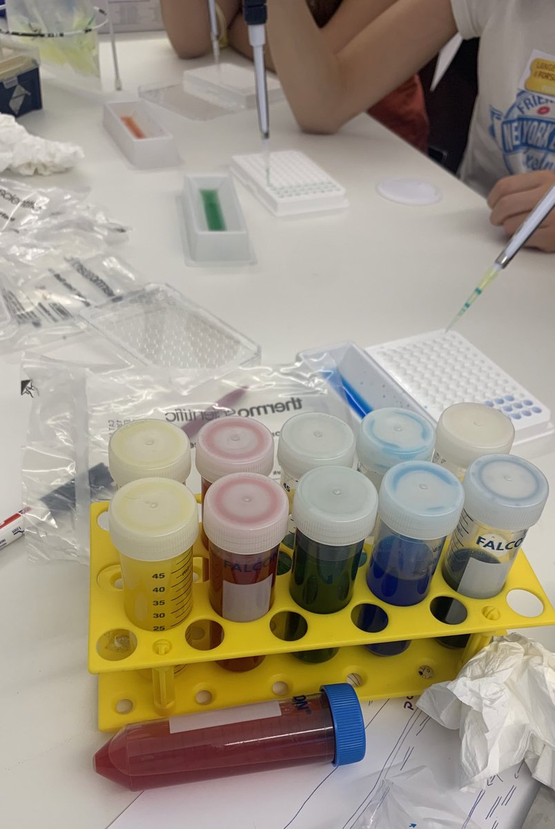 mguarini1's tweet photo. Pipette challenge! (5yo kids easily managed 😍) #LangeNachtderForschung #LongNightOfResearch #cemm https://t.co/W89LhK2lNF