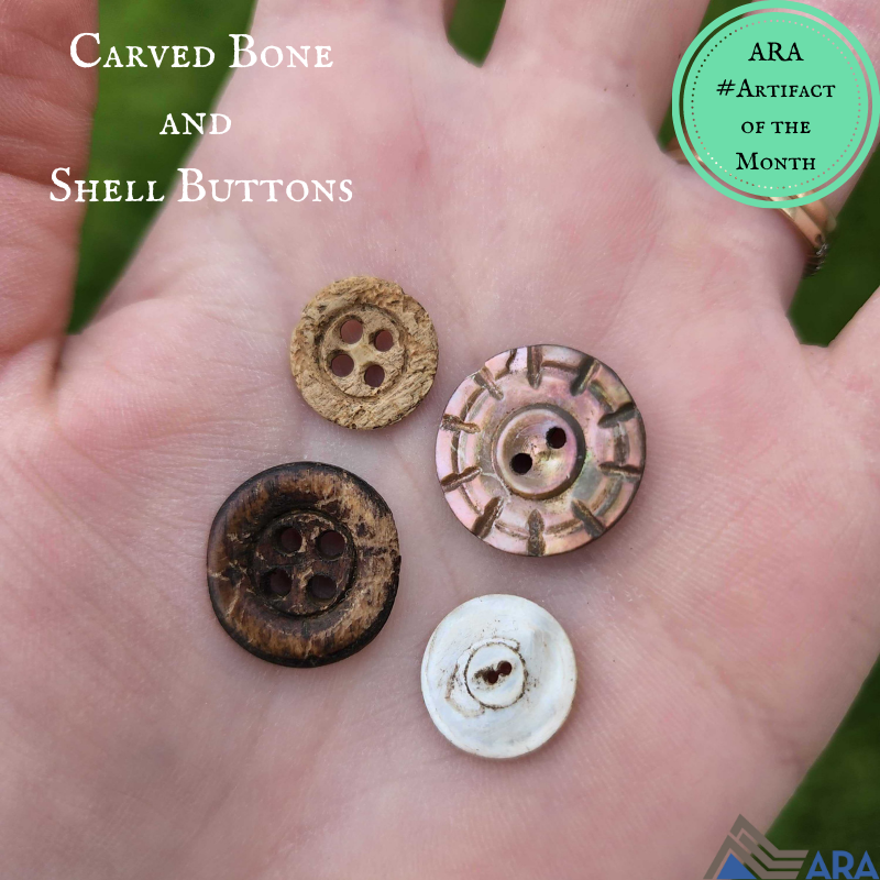 ARA Archaeology tweet media