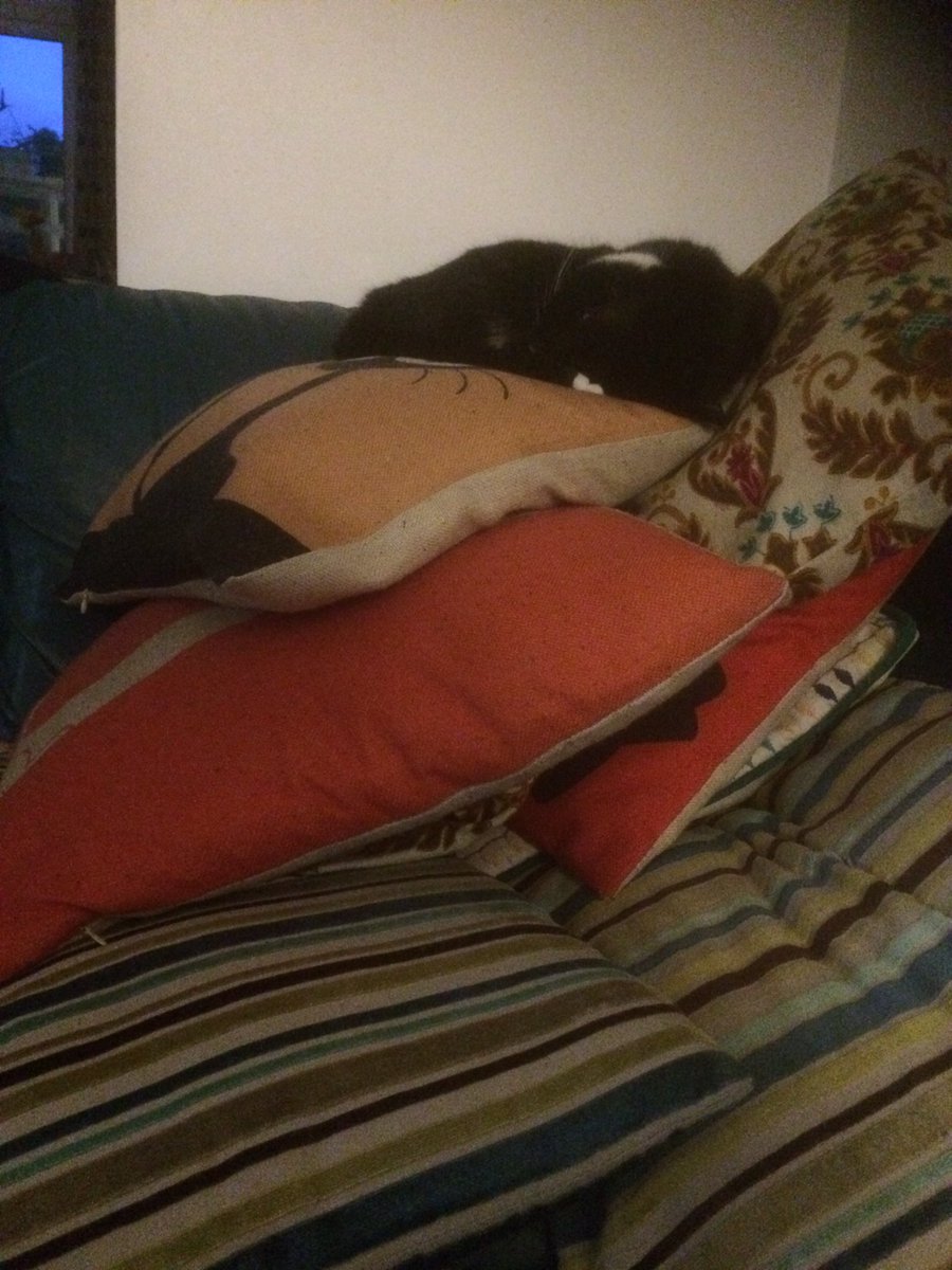 Audrey is Queen of the cushion castle.