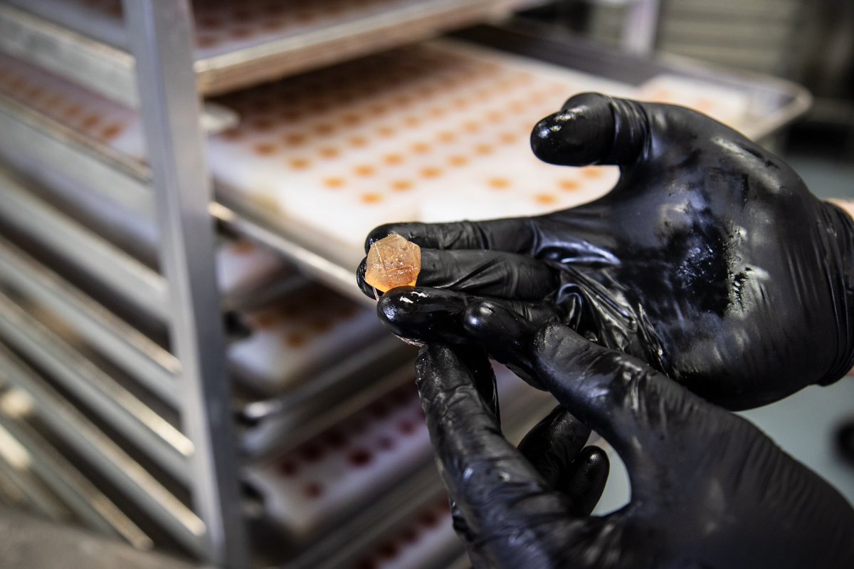 RobhotsEdibles's tweet photo. We’ve been working on some AMAZING new products 👀 Be on the lookout for some new goodies by Robhots Edibles dropping in Colorado soon! 🤖
•
•
•
•
#Robhots #RobhotsGummies #RobhotsEdibles #Squishers 📸: @ThcSamuel https://t.co/0AdcheHnuf