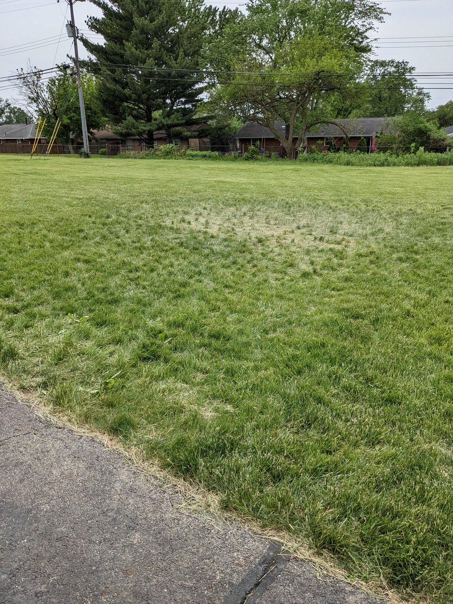 Amy Gochenour tweet media