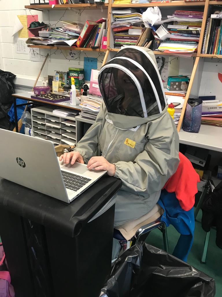 BeaufortBee's tweet photo. Full dedication on World Bee Day  by this teacher! Great! https://t.co/gmb1cO0K1V