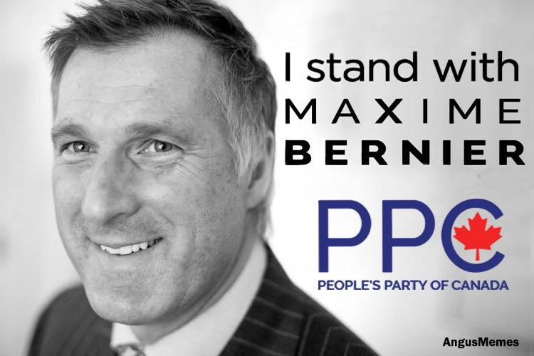Shopextreme3's tweet photo. @rebel_eitan @PierrePoilievre @jordanbpeterson @IndependentPG Another moron this lievre, https://t.co/g8yMDQAOve