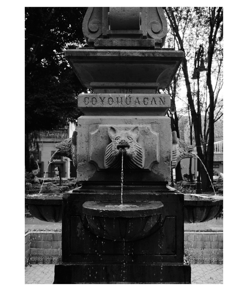rosenstech's tweet photo. Coyoacan
#ciudaddemexico #Mexico #coyoacan #Fountain #travelphotography #fujifilm_xseries #x100v #mexico_amazing #photography #photooftheday https://t.co/2EhlXcn9eB