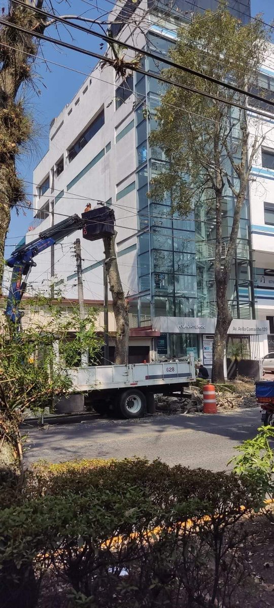 Señor #Alcalde de #Xalapa #RicardoAhued aunque veo que no tiene twitter, ¿nos explica esto, como nuestro empleado que es? Y por favor que no sea la cantaleta de siempre como "son un peligro" "viejos", "enfermos".
#Tala #arboles Gracias.
<a href="/AytoXalapa/">Ayuntamiento de Xalapa</a> <a href="/DMAS_Xalapa/">Dir. de Medio Ambiente y Sustentabilidad</a>