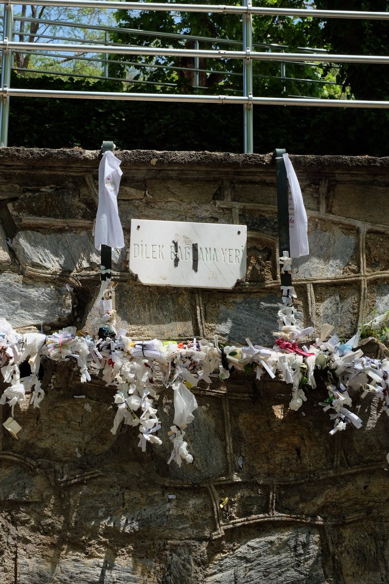 Lives in Türkiye tweet media