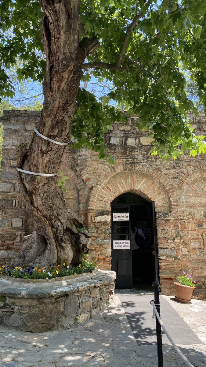 Lives in Türkiye tweet media